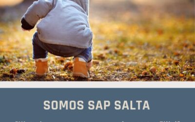 Boletin: SOMOS SAP SALTA